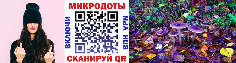 Псилоцибиновые грибы Cubensis  Купить где  Правдинск 